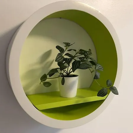 The Luxury At Pleamar 30 Rental, Punta Prima, 别墅 托雷维耶哈