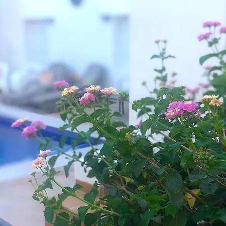 The Luxury At Pleamar 30 Rental, Punta Prima, * 托雷维耶哈